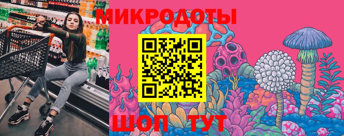 Кировск  Галлюциногенные грибы прущие грибы  Вход с VPN 